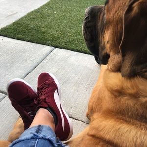 Meet your Posher, Stella